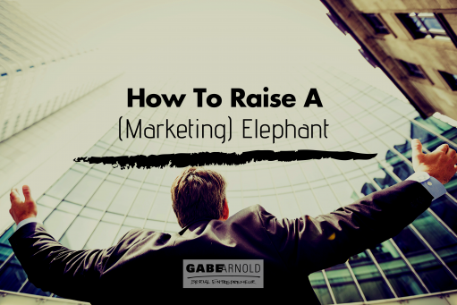 How To Raise A (Marketing) Elephant